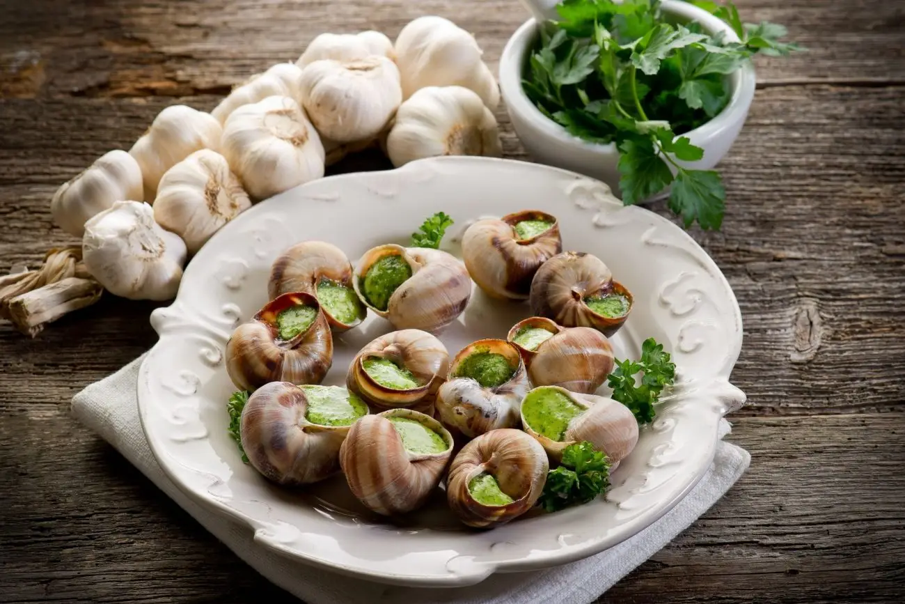 Séminaire vert Beaune gastronomie