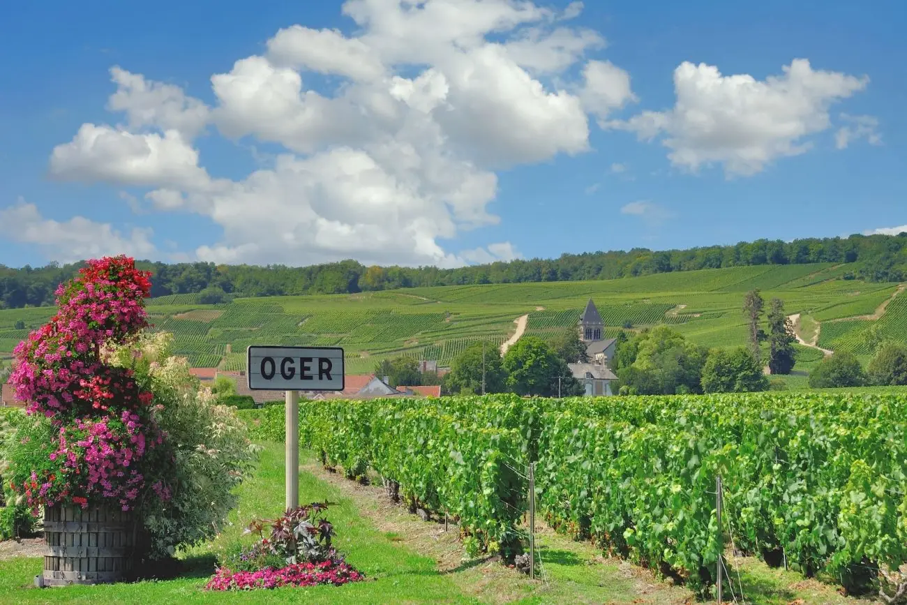 seminaire vert Champagne