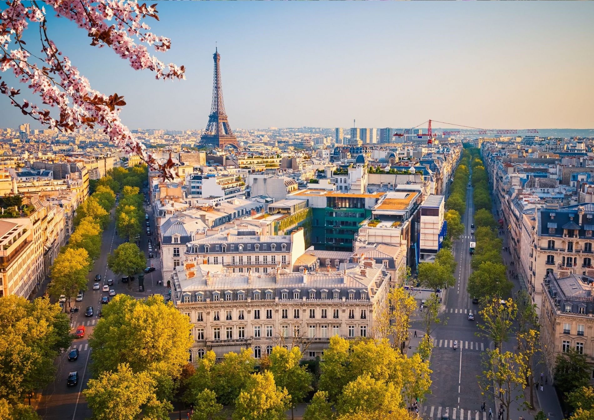 séminaire vert Paris ville (4)