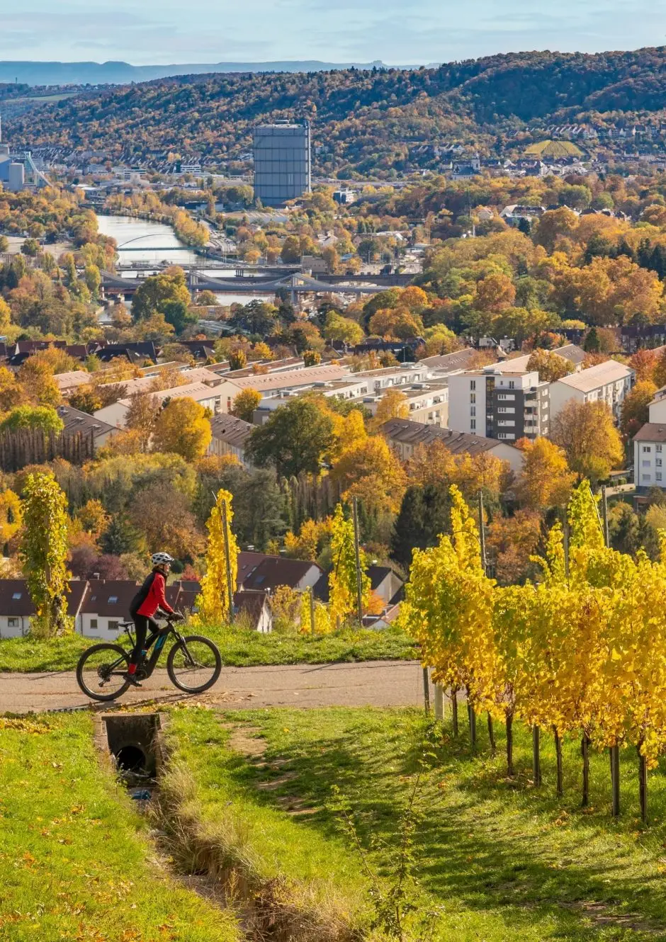 séminaire vert Reims activité