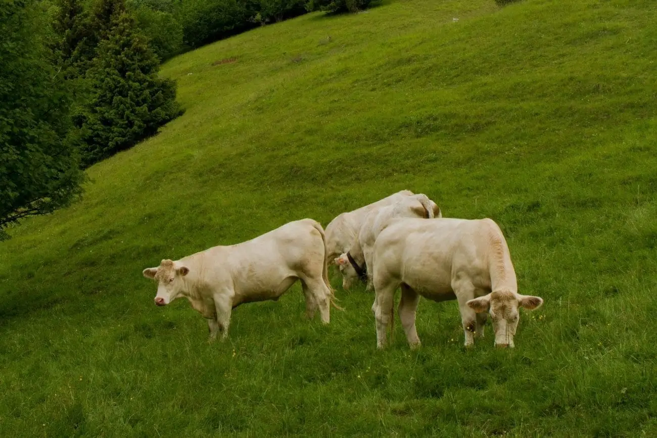 seminaire vert Savoie