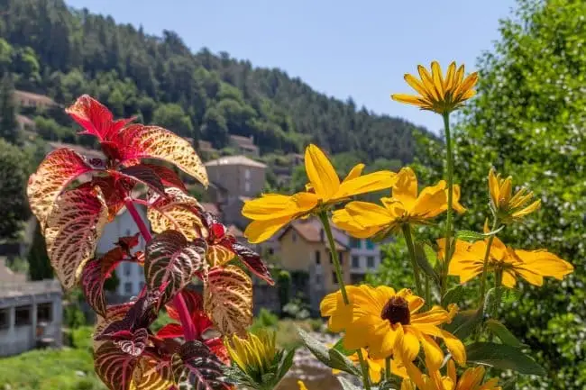 seminaire vert Savoie