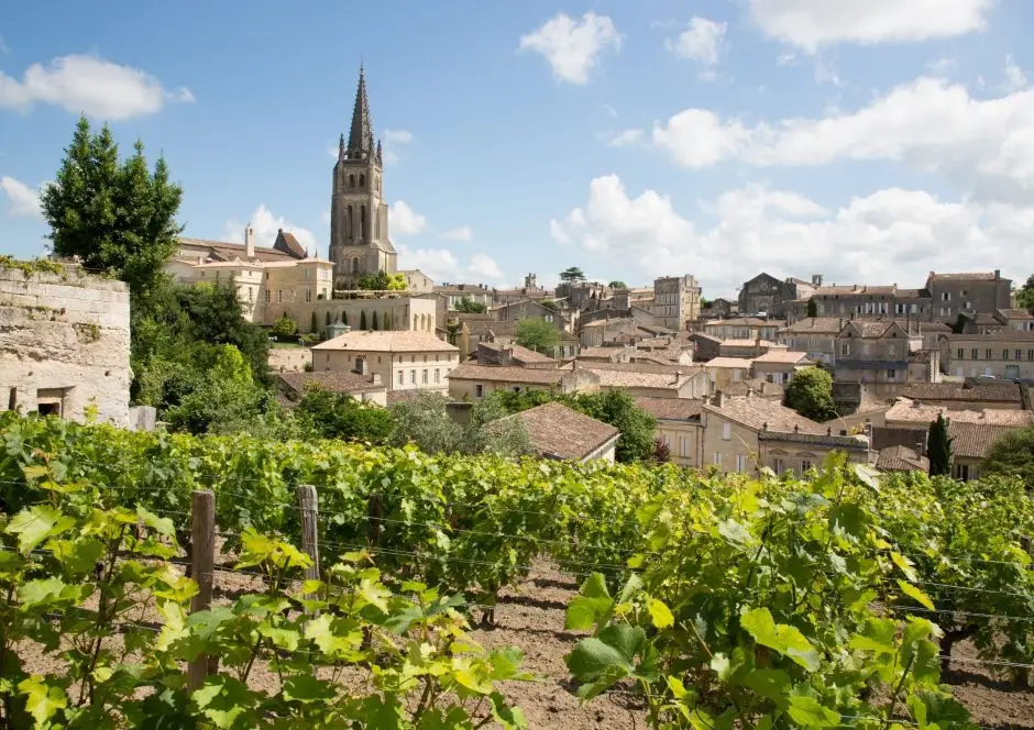 seminaire vert paysage sud ouest (10)