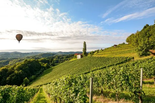 seminaire vert paysage sud ouest (12)