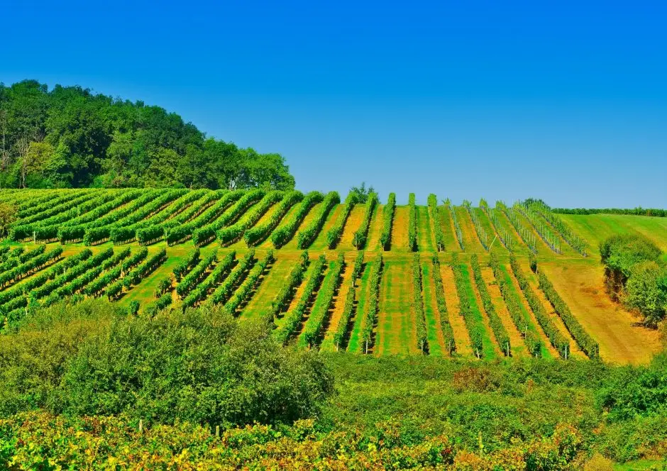 seminaire vert paysage sud ouest (16)