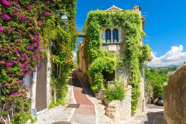 seminaire vert provence
