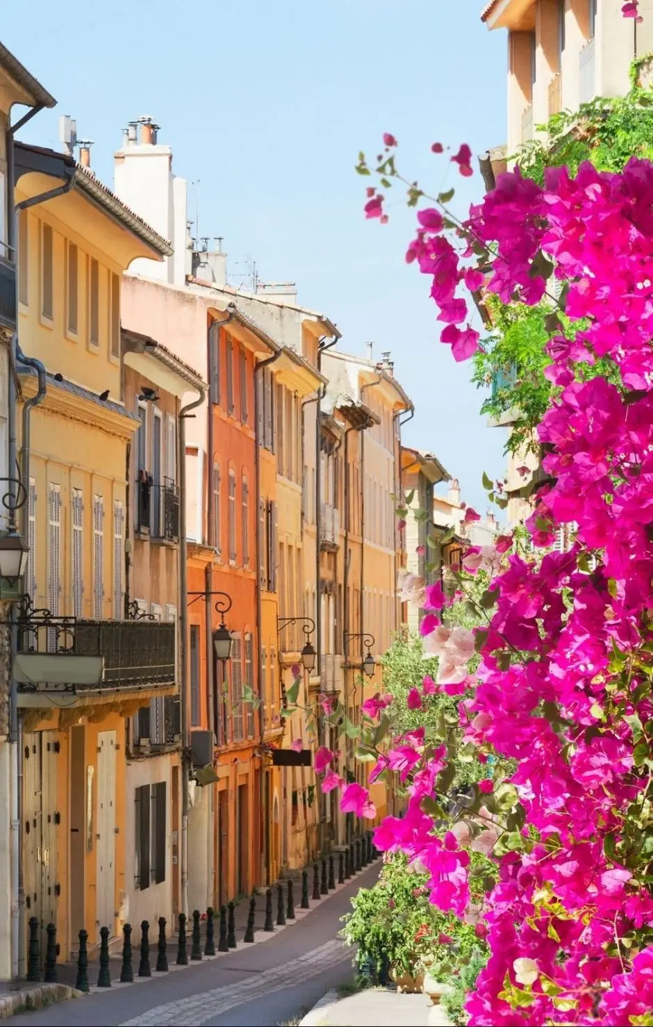seminaire vert provence