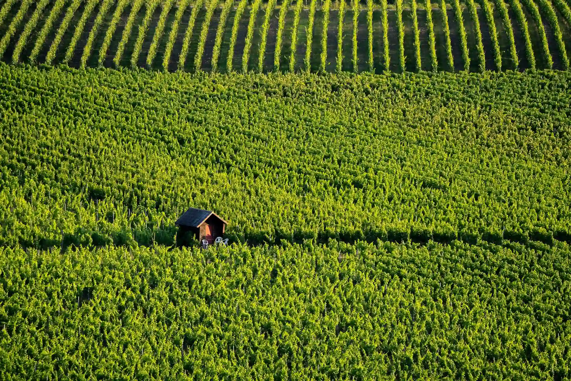 Beaune Team building