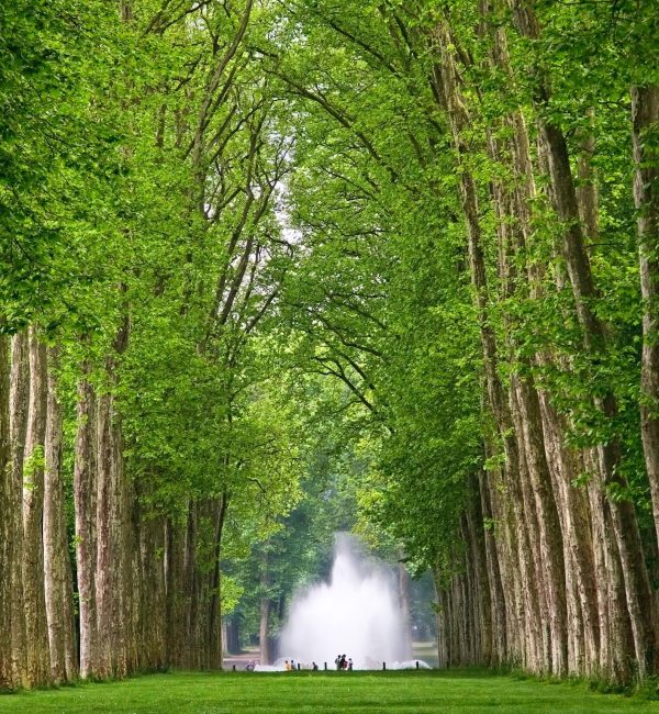 Séminaire Vert Versailles