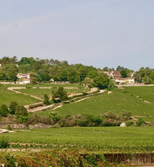 Séminaire vert Beaune ville (5)