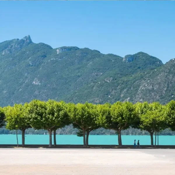 séminaire vert Aix-les-Bains (6)