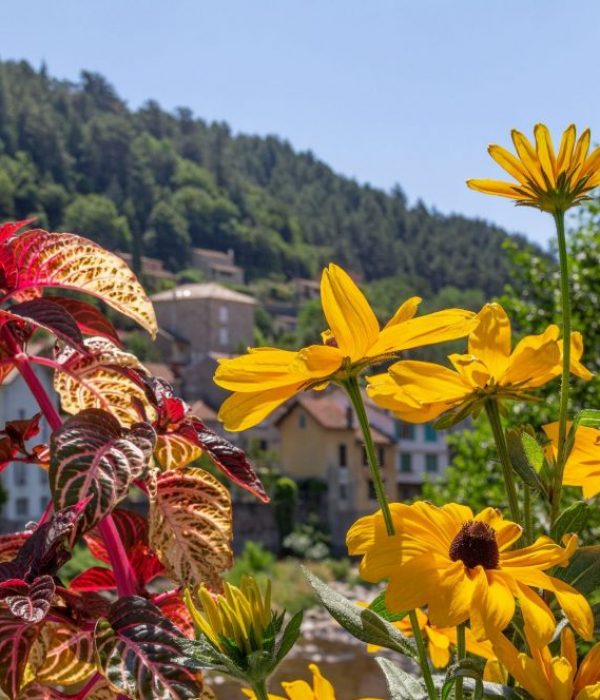 seminaire vert Savoie