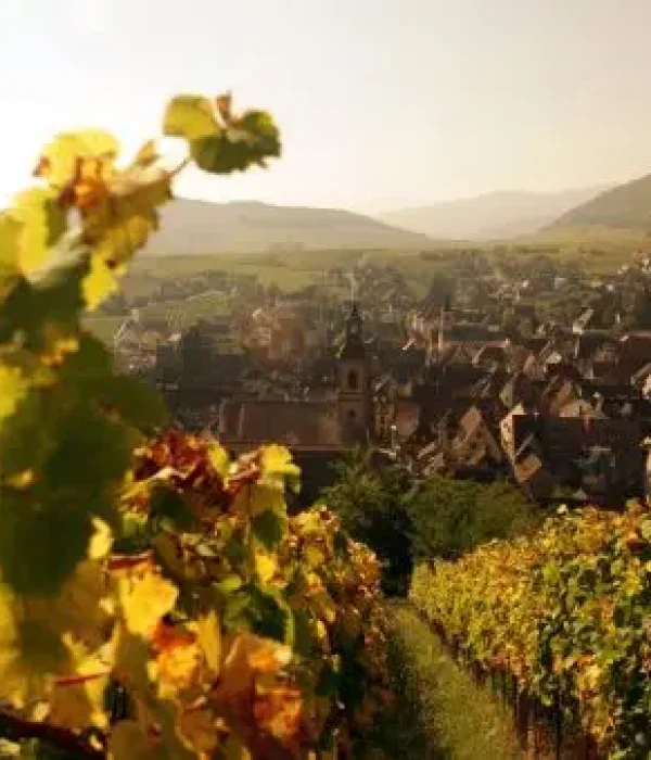 seminaire vert alsace