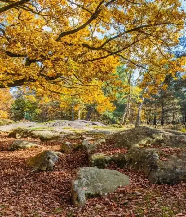 seminaire-vert-ile-de-france-nature (1) seminaire-vert-ile-de-france-nature (1)
