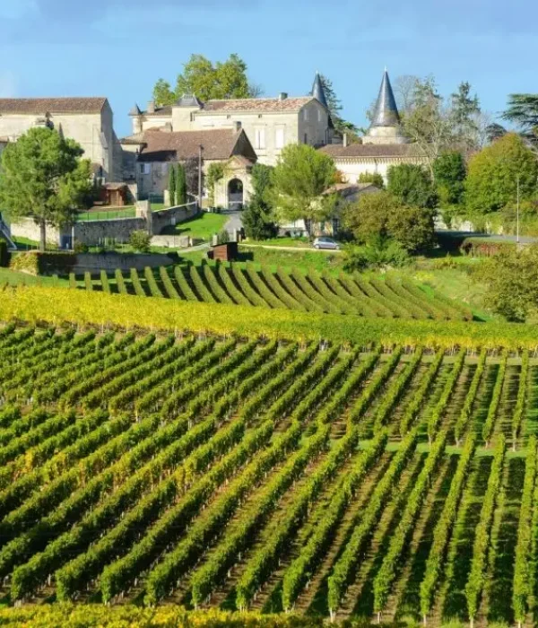 seminaire vert paysage sud ouest (8)