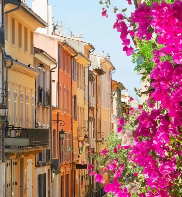 seminaire vert provence