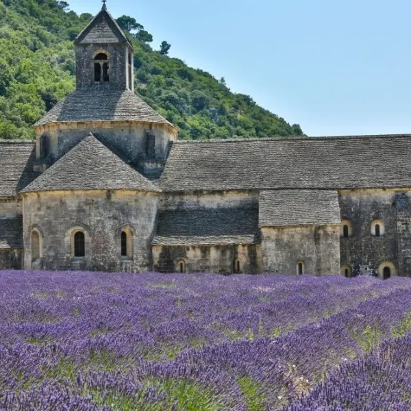 seminaire vert provence